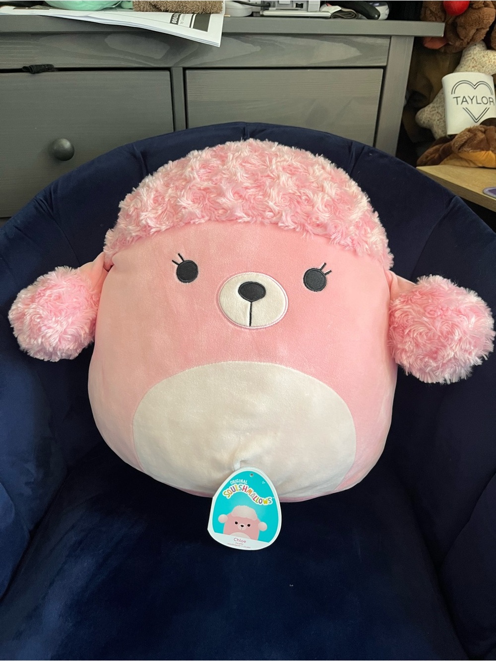 14” Chloe poodle squishmallow